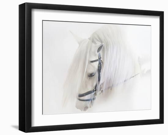 Purebred III-Ozana Sturgeon-Framed Photographic Print