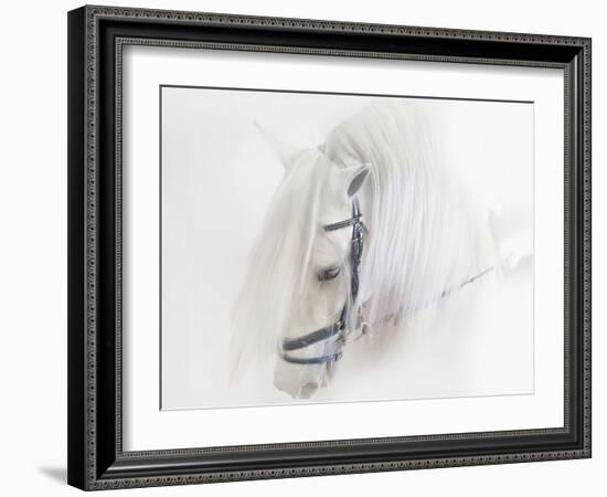 Purebred III-Ozana Sturgeon-Framed Photographic Print