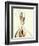 Purer No. 15-Campbell Laird-Framed Premium Giclee Print