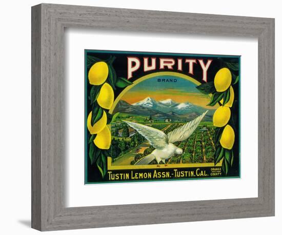 Purity Lemon Label - Tustin, CA-Lantern Press-Framed Art Print