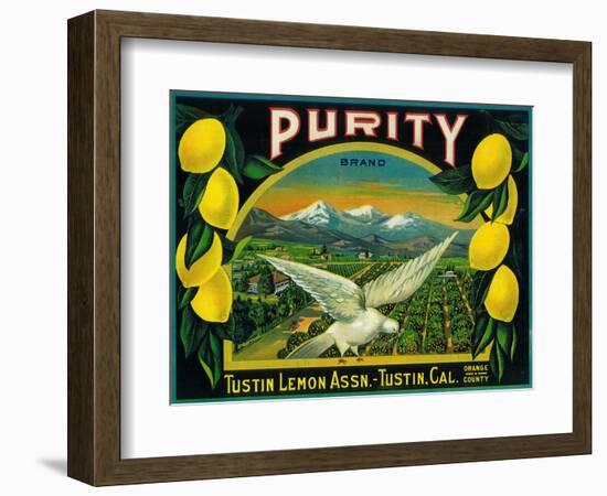 Purity Lemon Label - Tustin, CA-Lantern Press-Framed Art Print