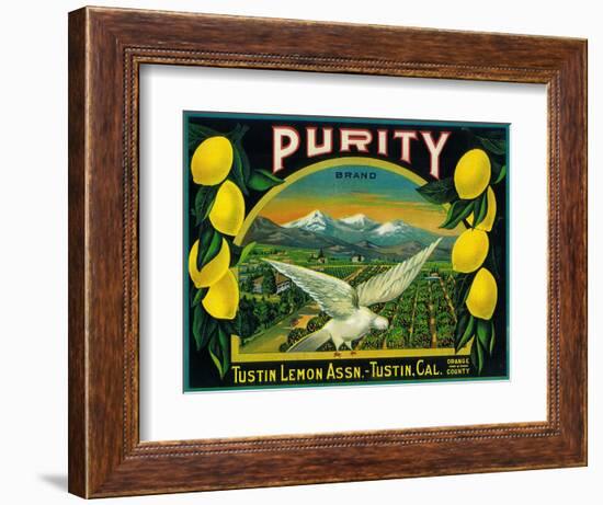 Purity Lemon Label - Tustin, CA-Lantern Press-Framed Art Print