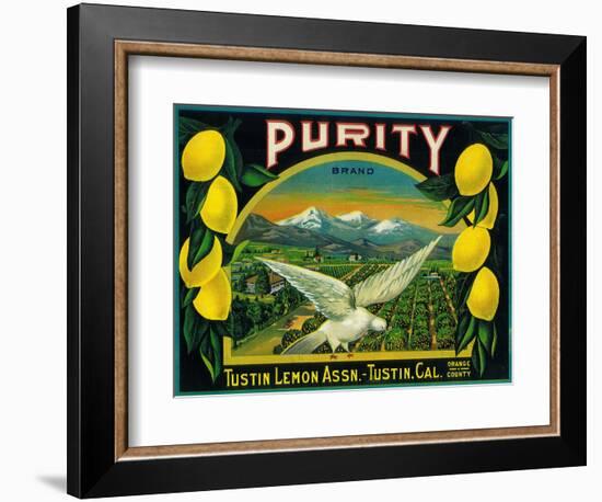 Purity Lemon Label - Tustin, CA-Lantern Press-Framed Art Print