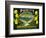 Purity Lemon Label - Tustin, CA-Lantern Press-Framed Art Print