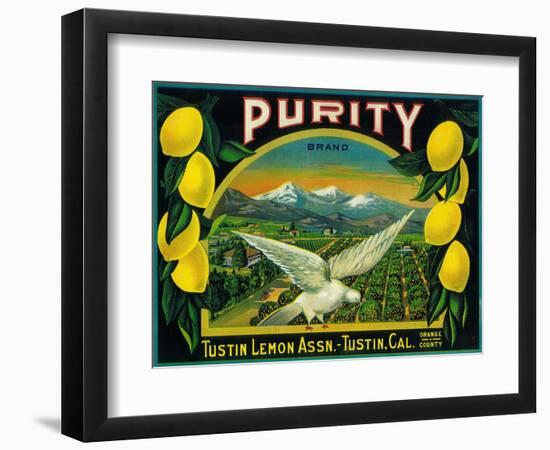 Purity Lemon Label - Tustin, CA-Lantern Press-Framed Art Print