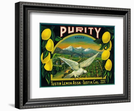 Purity Lemon Label - Tustin, CA-Lantern Press-Framed Art Print