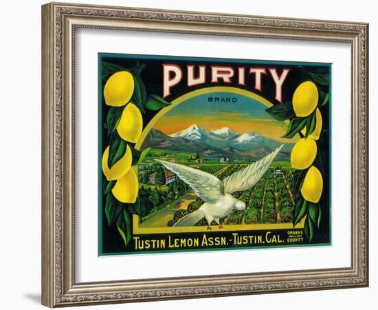 Purity Lemon Label - Tustin, CA-Lantern Press-Framed Art Print