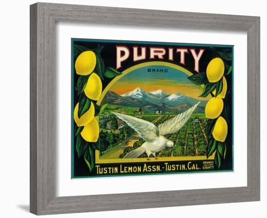 Purity Lemon Label - Tustin, CA-Lantern Press-Framed Art Print