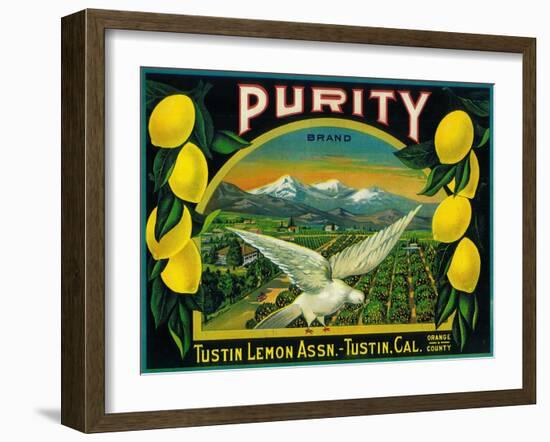 Purity Lemon Label - Tustin, CA-Lantern Press-Framed Art Print