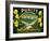 Purity Lemon Label - Tustin, CA-Lantern Press-Framed Art Print