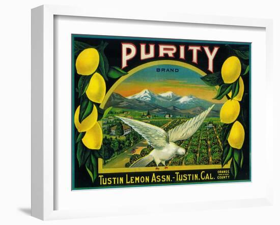 Purity Lemon Label - Tustin, CA-Lantern Press-Framed Art Print