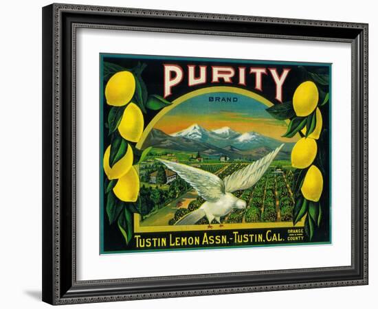 Purity Lemon Label - Tustin, CA-Lantern Press-Framed Art Print