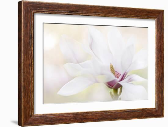 Purity-Jacky Parker-Framed Photographic Print