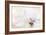 Purity-Jacky Parker-Framed Photographic Print