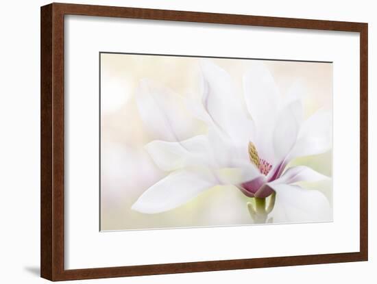 Purity-Jacky Parker-Framed Photographic Print