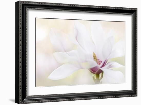 Purity-Jacky Parker-Framed Photographic Print