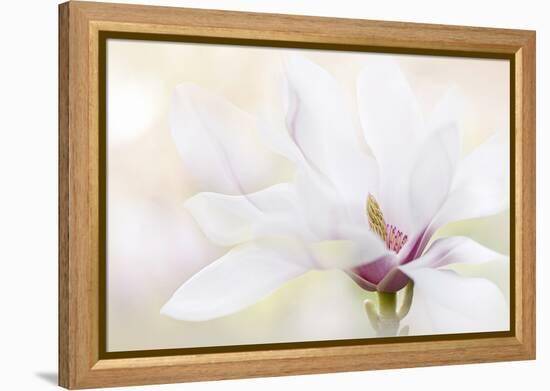 Purity-Jacky Parker-Framed Premier Image Canvas