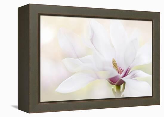 Purity-Jacky Parker-Framed Premier Image Canvas