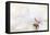 Purity-Jacky Parker-Framed Premier Image Canvas