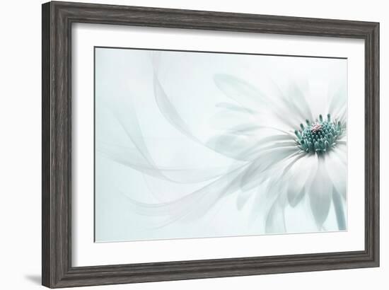 Purity-Jacky Parker-Framed Photographic Print