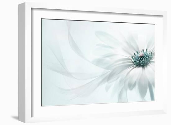 Purity-Jacky Parker-Framed Photographic Print