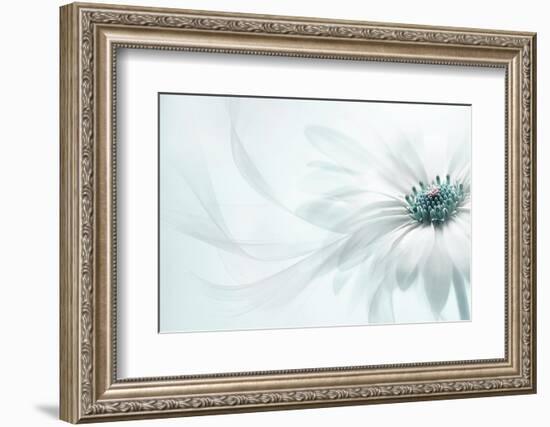 Purity-Jacky Parker-Framed Photographic Print