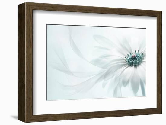 Purity-Jacky Parker-Framed Photographic Print