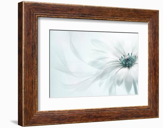 Purity-Jacky Parker-Framed Photographic Print