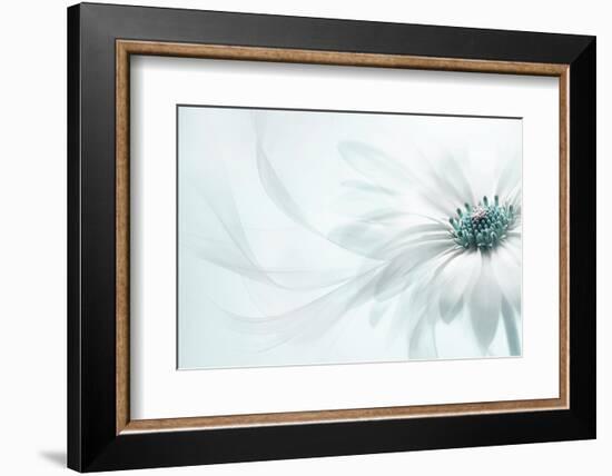 Purity-Jacky Parker-Framed Photographic Print