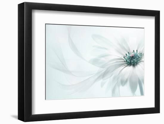 Purity-Jacky Parker-Framed Photographic Print