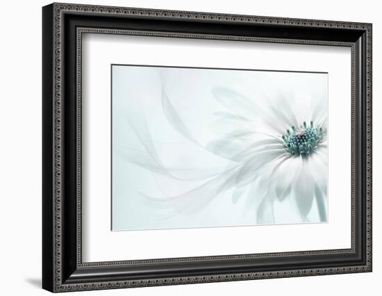 Purity-Jacky Parker-Framed Photographic Print