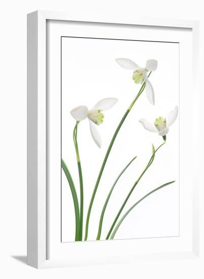 Purity-Jacky Parker-Framed Giclee Print