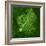 Purkinje Nerve Cell, Light Micrograph-Thomas Deerinck-Framed Premium Photographic Print