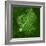 Purkinje Nerve Cell, Light Micrograph-Thomas Deerinck-Framed Premium Photographic Print