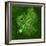 Purkinje Nerve Cell, Light Micrograph-Thomas Deerinck-Framed Premium Photographic Print