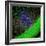 Purkinje Nerve Cell-David Becker-Framed Premium Photographic Print