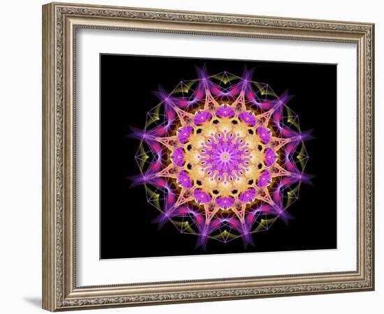 Purple 1-Stephanie Analah-Framed Giclee Print