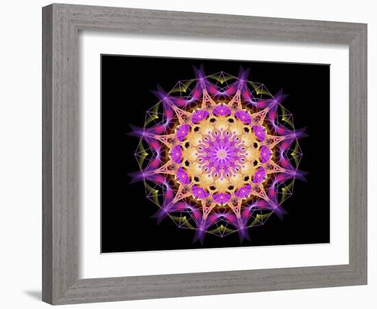 Purple 1-Stephanie Analah-Framed Giclee Print