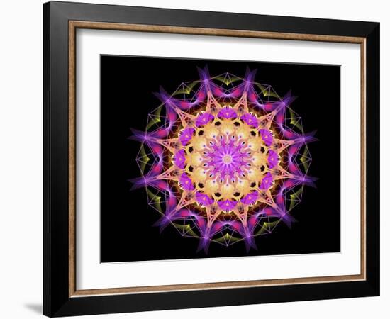 Purple 1-Stephanie Analah-Framed Giclee Print