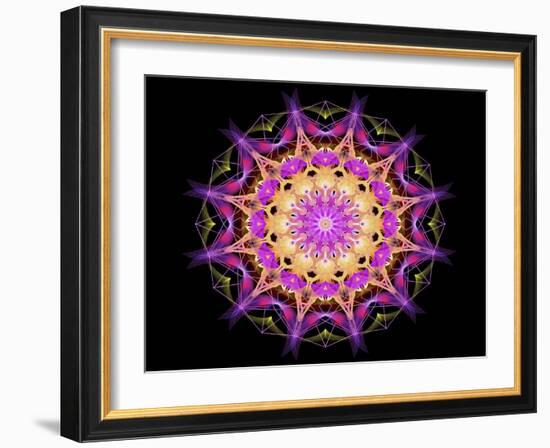 Purple 1-Stephanie Analah-Framed Giclee Print