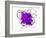 Purple Abstract Brush Splash Flower-Irena Orlov-Framed Art Print