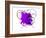 Purple Abstract Brush Splash Flower-Irena Orlov-Framed Art Print