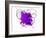 Purple Abstract Brush Splash Flower-Irena Orlov-Framed Art Print