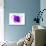 Purple Abstract Brush Splash Flower-Irena Orlov-Art Print displayed on a wall