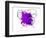 Purple Abstract Brush Splash Flower-Irena Orlov-Framed Art Print