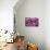 Purple Abstract-Incredi-Giclee Print displayed on a wall