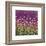 Purple and Gold field-Claire Westwood-Framed Premium Giclee Print