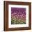 Purple and Gold field-Claire Westwood-Framed Premium Giclee Print