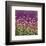 Purple and Gold field-Claire Westwood-Framed Premium Giclee Print