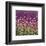 Purple and Gold field-Claire Westwood-Framed Premium Giclee Print